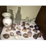 SECTION 12. Nineteen various Cowry shells including one carved with the Lords prayer and other