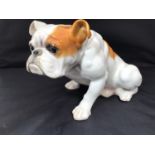 A Heubach ceramic figure of a seated bulldog, with factory marks to base, 27cm long