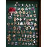 Approximately 94 metal military cap badges, new and old, in a green baize-lined bespoke mahogany