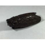 A Japanese edo period boxwood netsuke carved in the form of a Cicada fly, 6cm long (af)