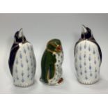 Three Royal Crown Derby paperweights, 'Rockhopper Penguin', limited edition number 47/950 and two '