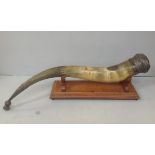 A very large Scottish silver-mounted curved presentation cow-horn, with thistle embossed silver