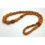 A string of graduated oval butterscotch amber beads, the largest bead measuring 20mm, 45.5g