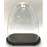 A glass display dome on black ebonised plinth base raised on four supports, 35cm tall including base