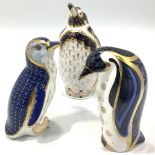 Three Royal Crown Derby paperweights, 'Galapagos Penguin', limited edition 625/1000, 'Aurora',