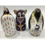 Three Royal Crown Derby paperweights, 'Penguin and Chick', 'Penguin' and 'Koala', each with