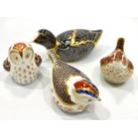 Four Royal Crown Derby paperweights, 'Owlet', 'Derwent Goldcrest', 'Chatsworth Coot', limited