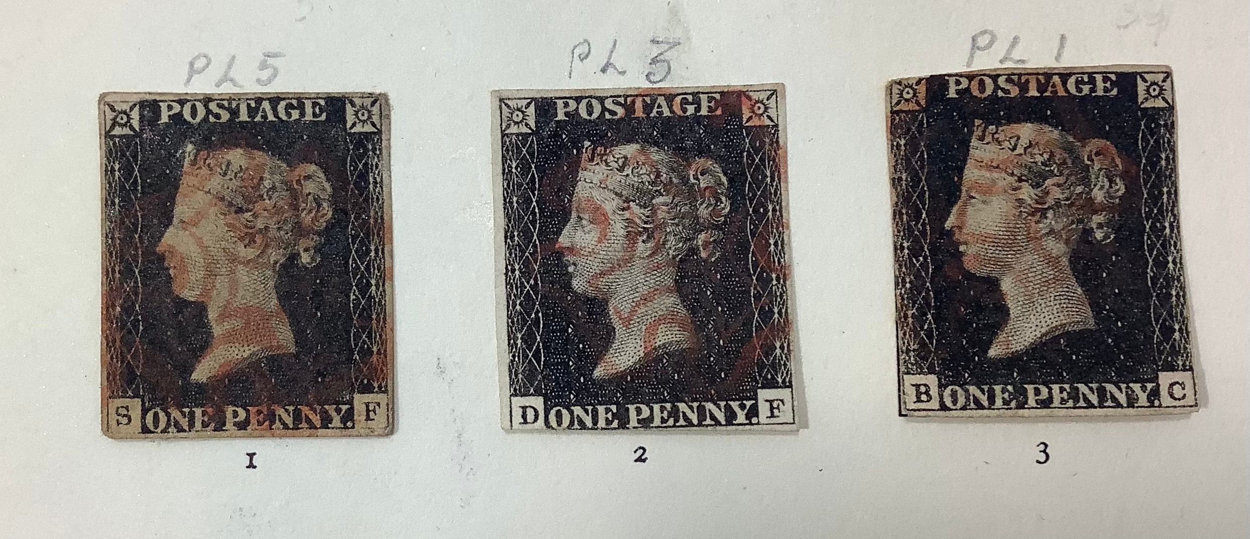 SG Windsor Album 1 & 2, GB Victoria to ERII, including three 1d penny Blacks, pl. 5 with 4 clear