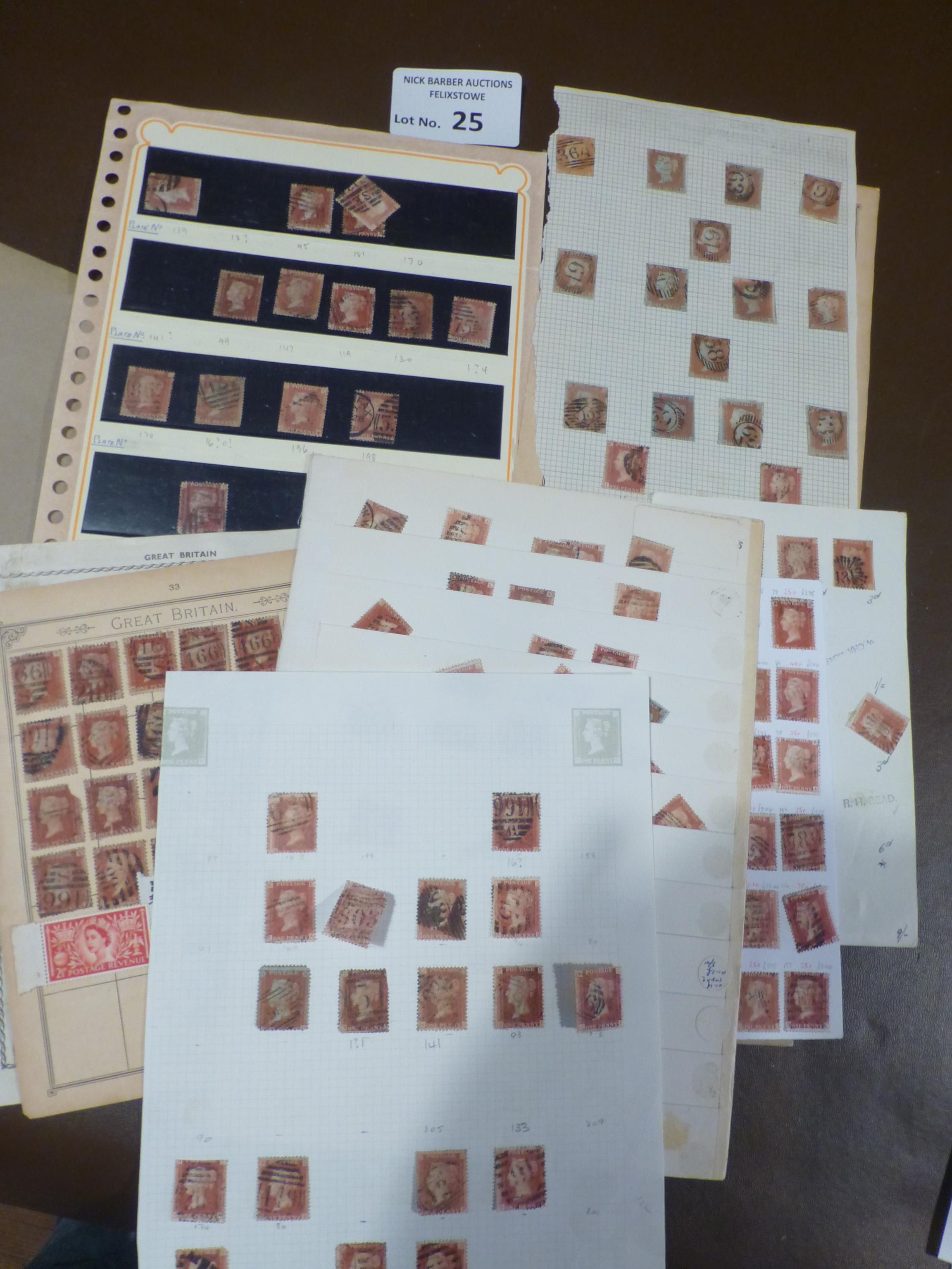 Stamps : GB nice folder of 1d penny red - imperf/p