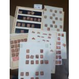 Stamps : GB nice folder of 1d penny red - imperf/p