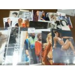 Collectables : Celebrity Autographs inc Kristina R