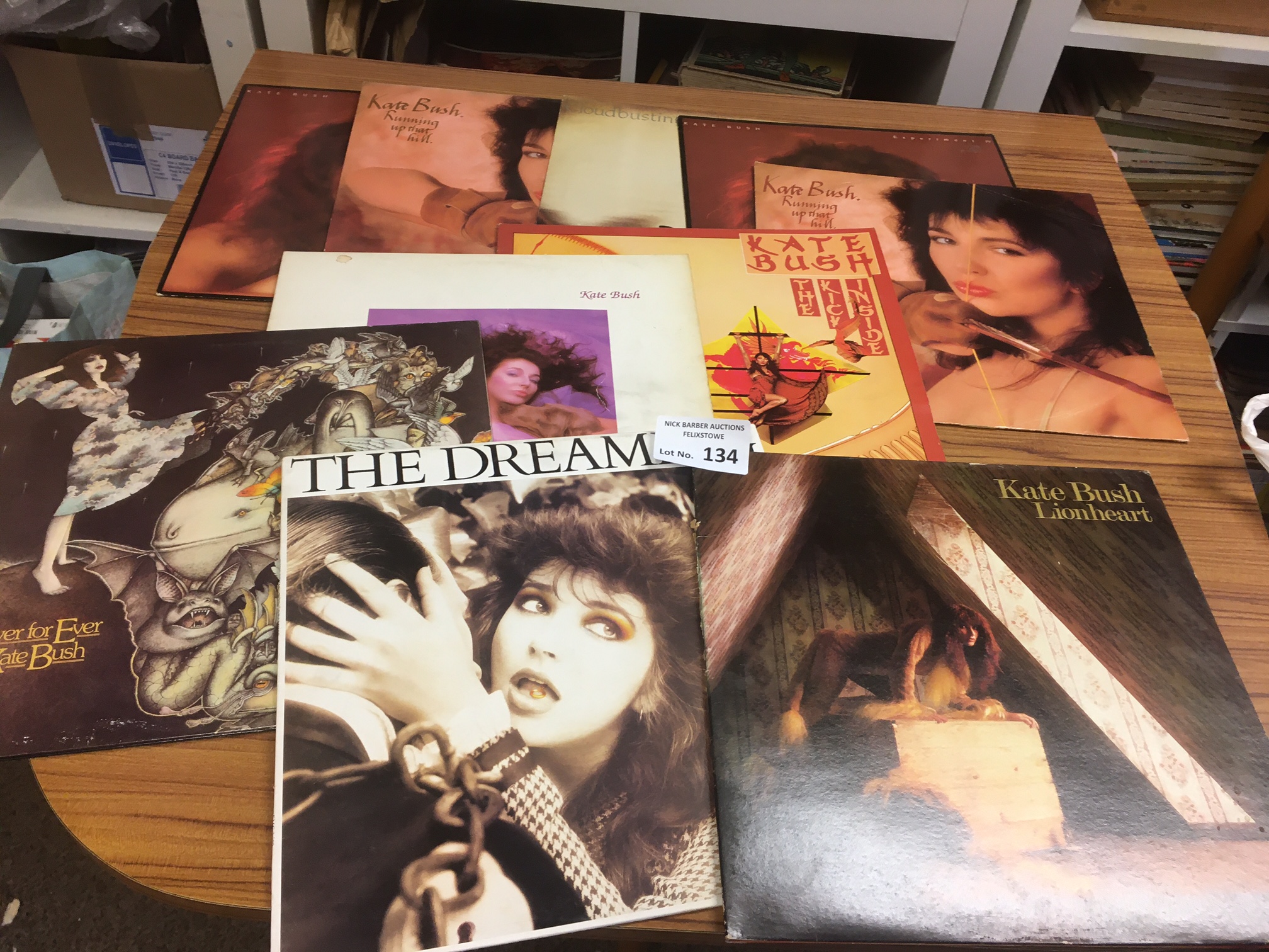 Records : KATE BUSH collection of albums & 12" sin