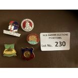 Speedway : Badges inc West Ham , Norwich, Southamp