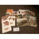 Postcards : 70 animals on cards - all art drawn -