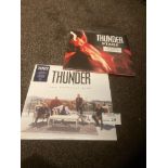 Records : THUNDER - 180g modern albums - The Great