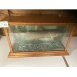 TAXIDERMY/COLLECTIBLES: Glass front wooden box, co