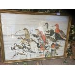 PAINTINGS: SNOOK, Reg. 1975, framed and glazed, or