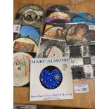 Records - Picture discs (14) 7" includes, Who, Ala