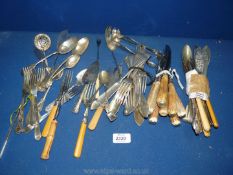 Miscellaneous cutlery