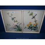 A pair of oriental paintings on silk of birds perched on branches, both signed by the same artist.