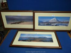 Three framed and mounted photographs of panoramic landscapes.