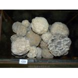 A metal Deed Box and a large quantity of uncracked Geodes