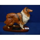 A Beswick rough coated Collie on a plinth. 8" tall x 10" long.