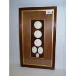A framed small group of classical plaster cast medallions.