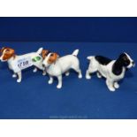 Two Beswick Jack Russell dogs, one with repaired leg and a Beswick black and white Spaniel,