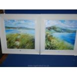 A pair of Nel Whitmore Prints on board entitled 'Emerald Isle' and 'Emerald Isle Ring of Kerry'.