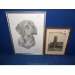 A framed etching of St George's church, Doncaster and a Mike Sibley print of a dog.