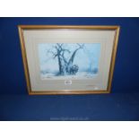 A framed and mounted David Shepherd Print of a single elephant entitled 'Old George'.