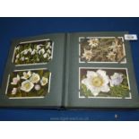 A Postcard album, 1930's, full of over 170 coloured flower cards by Ed J. Burrow & Co.