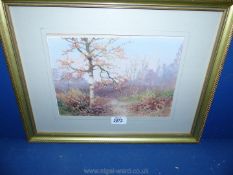 A framed and mounted Watercolour depicting a woodland scene, signed lower right E.J.