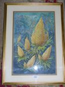 A framed Watercolour entitled ''Scottish Pine Cones'' signed lower left Myrtle Middleton,