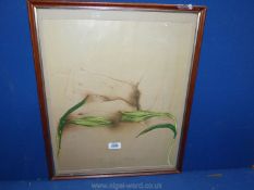 A framed Print depicting a study of a reclining nude, indistinctly signed, dated '79,