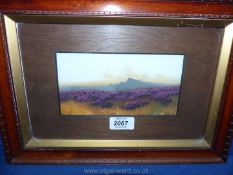 A small Oil on board depicting Heather on the hills with rocky mountains in the distance,