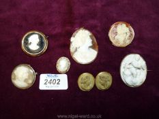 Various Cameo brooches and pendants.