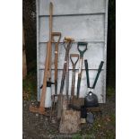 A quantity of garden forks, spades, shovels, tools, etc.