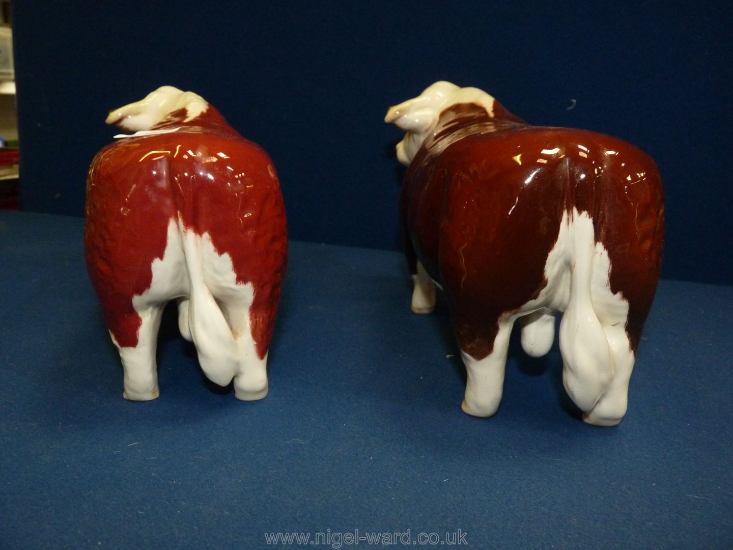 Two Beswick Bulls (one a/f) - Image 5 of 7