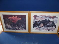 A pair of framed and mounted Prints by the artist Gvayasamin,