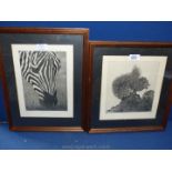 Two framed and mounted limited edition Prints both initialled C.J., no. 4/5 Grey squirrel and no.