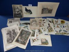 Twenty eight Engravings of Birds and animals, mostly 19th c.