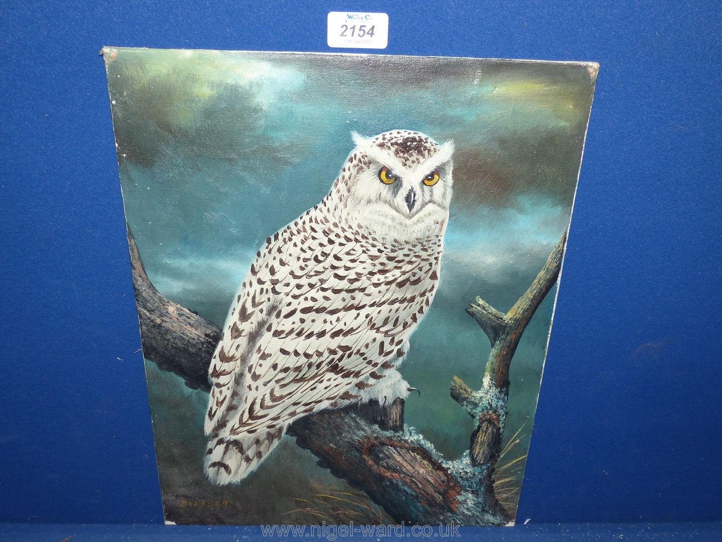 An unframed Oil on board depicting an owl sat in a tree, signed lower left Dickson, 12 1/2'' x 16''.