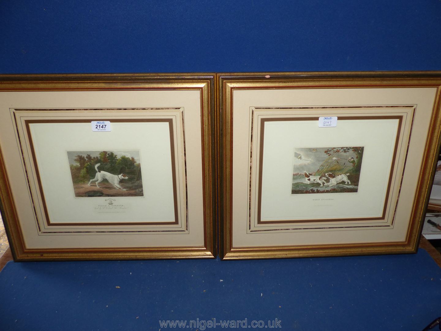 Two framed Etchings ''Field Spaniels'' and ''Pitch a Terrier'' by Lt.