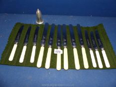 A quantity of stainless steel bladed dinner and breakfast Knives in baize roll and an Elkington