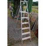 Five rung aluminium ladder