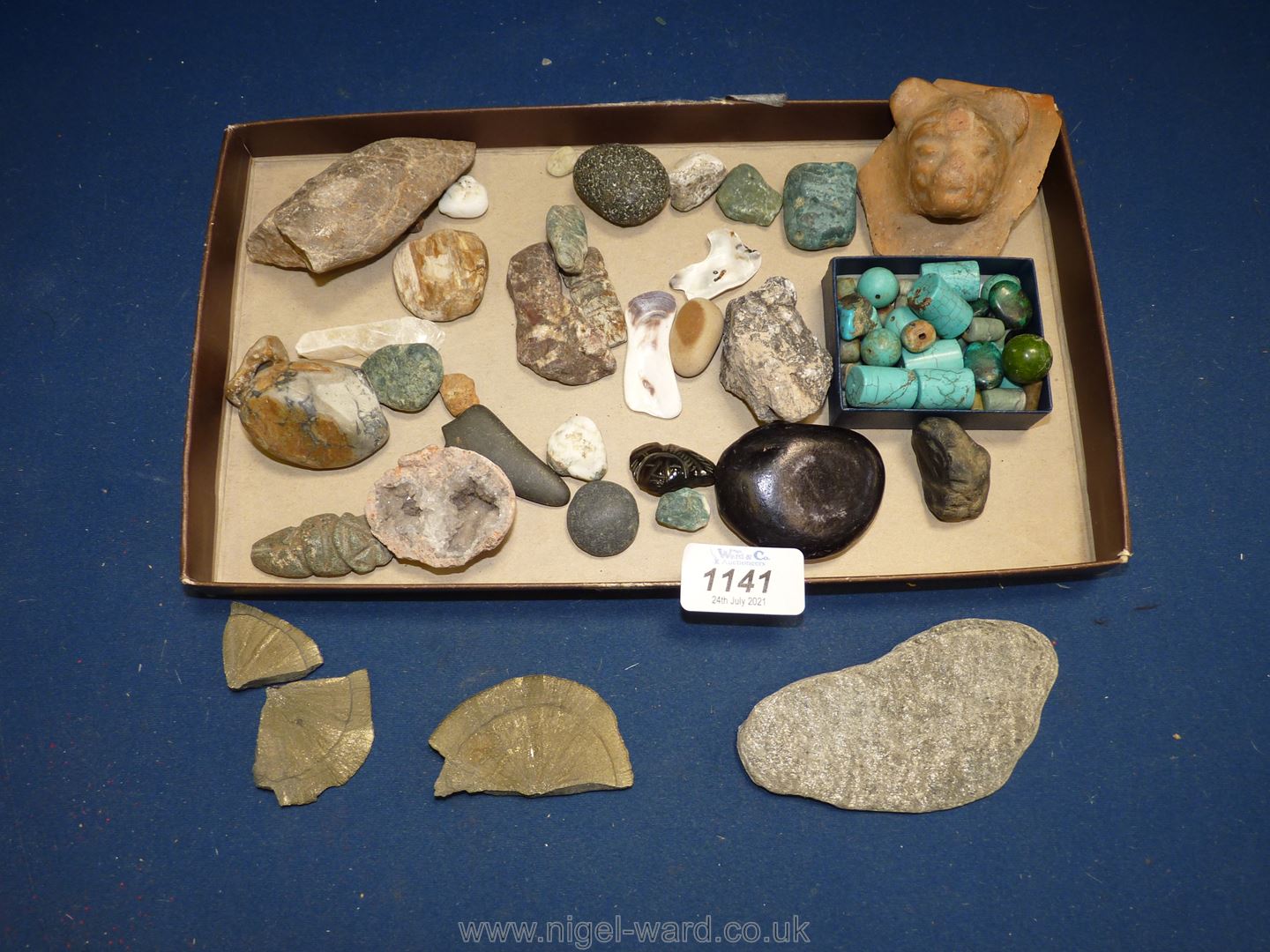 A small quantity of stones and shell fragments including Geode, Pyrite dollar, a/f,