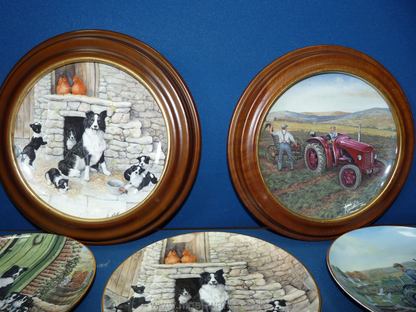 A quantity of James Herriot Border Fine Arts bone china plates including 'Jocks Pride', 'First Cut', - Image 2 of 4