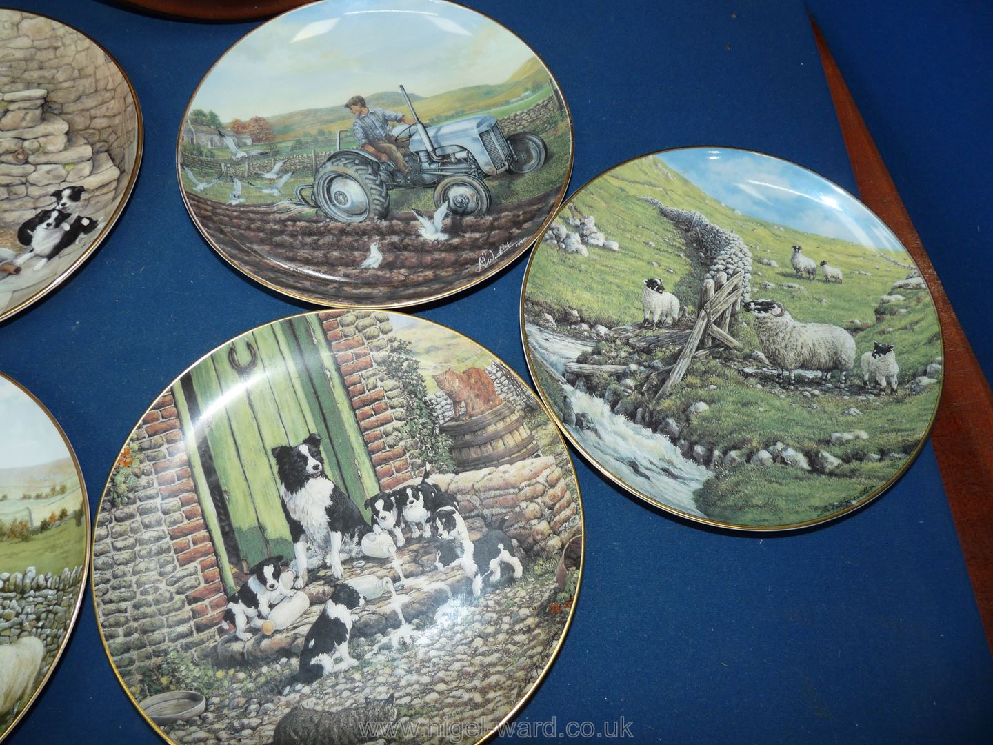 A quantity of James Herriot Border Fine Arts bone china plates including 'Jocks Pride', 'First Cut', - Image 4 of 4